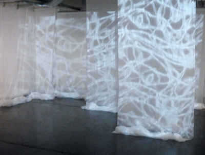 video
                        installation zart_B (c) Barbara Doser 2010