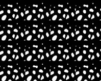 frameframer-pattern-videostill4