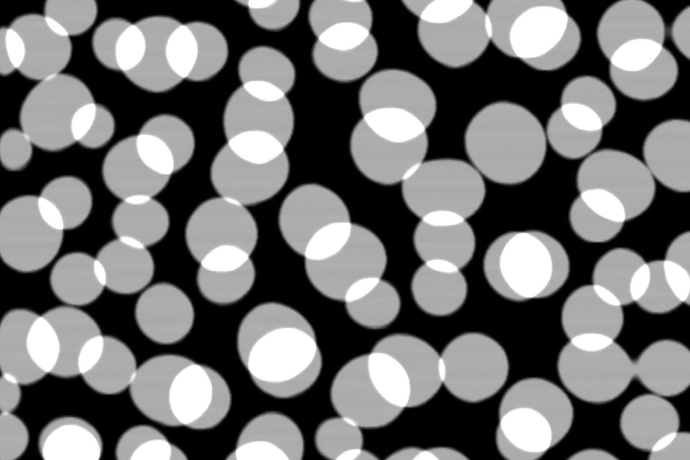 Parallel Media - Barbara Doser ||
                        Hofstetter Kurt