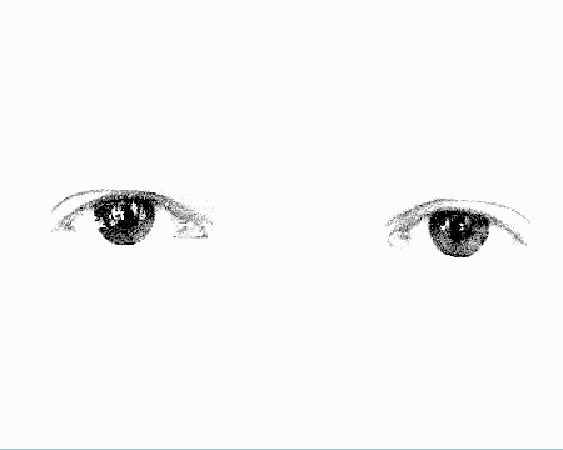 die ausstellung / the exhibition, 17.02. - 24.03.00