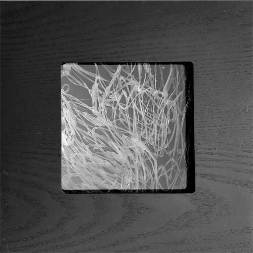 coded
fullness by Barbara Doser